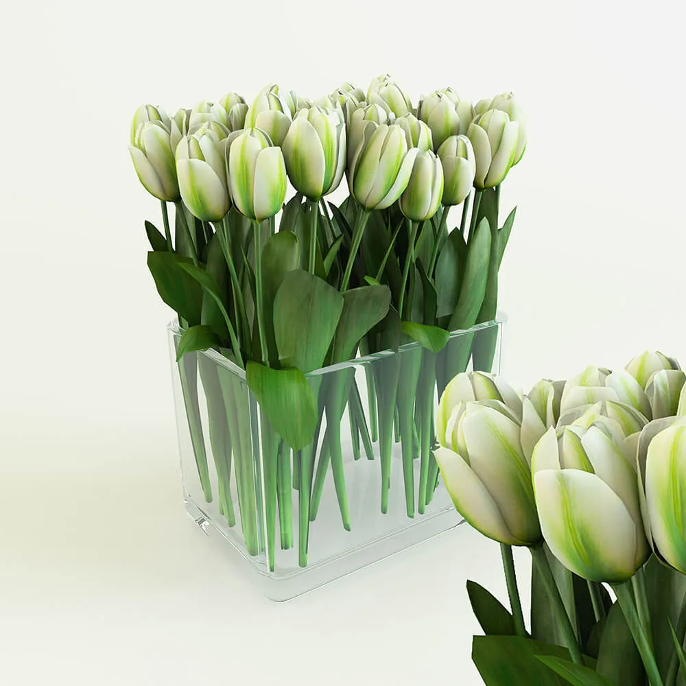 decoration - White tulips in a rectangular vase 3D Model