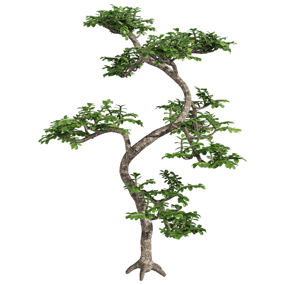 decoration - Zanthoxylum piperitum 4 3D Model