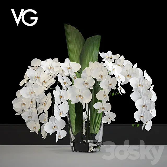 Decorative arrangement of orchids VG 3DModel