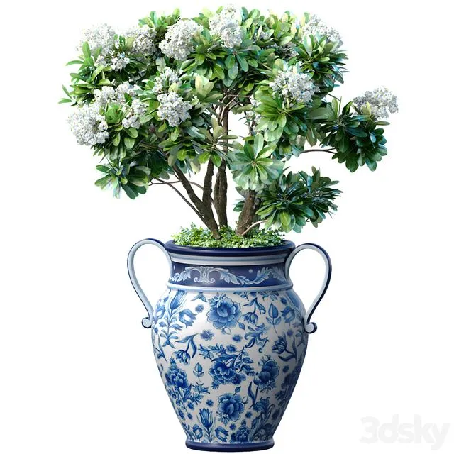 Decorative blooming garden tree with white Plumeria flowers in a vase 3D Model