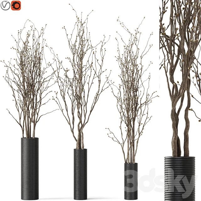 decorative branch 07 3D Model