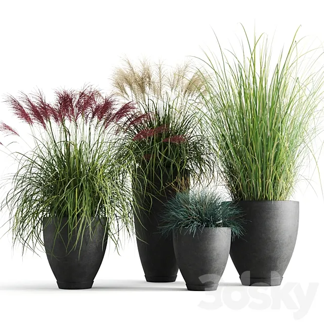 Decorative cereals in pots 3D Model