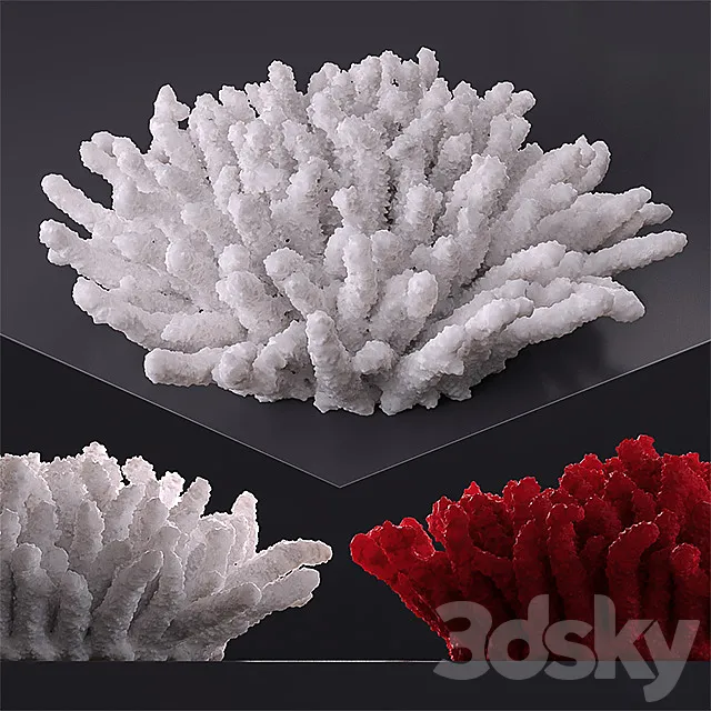 Decorative coral 3D Model