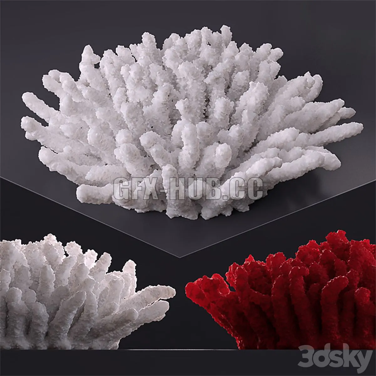 Decorative coral 3D Model