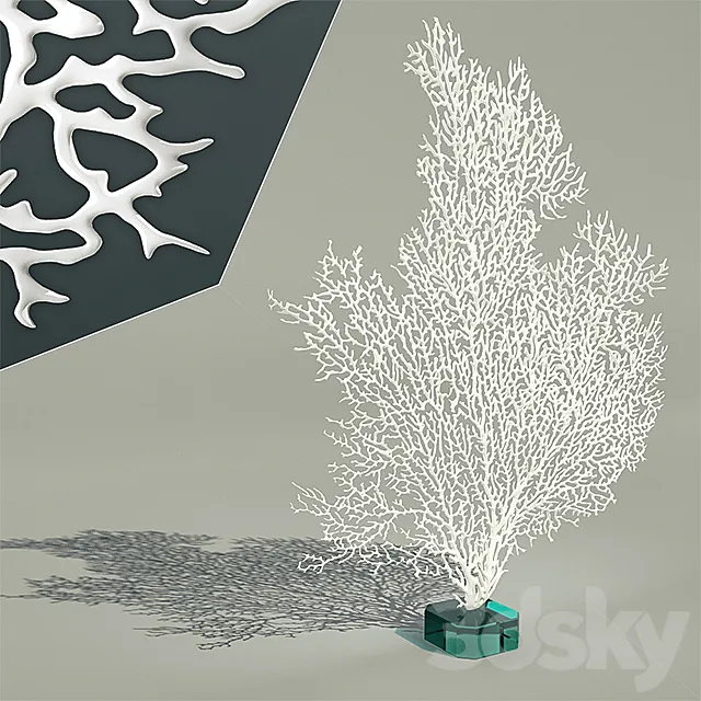 Decorative coral Free Download