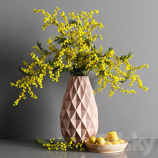 Decorative Mimosa Lemon 3DModel