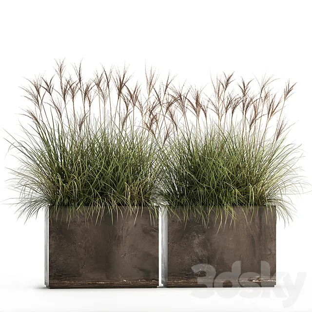 Decorative Miscanthus bushes in a rusty metal outdoor pot veinik fan. Set 933. 3D Model