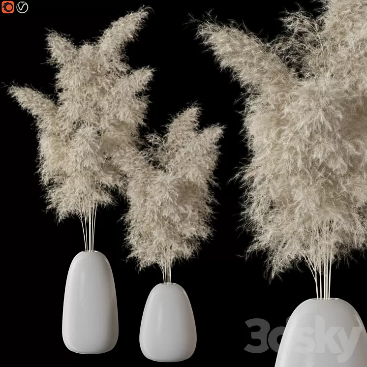 Decorative Pampas 3D Model