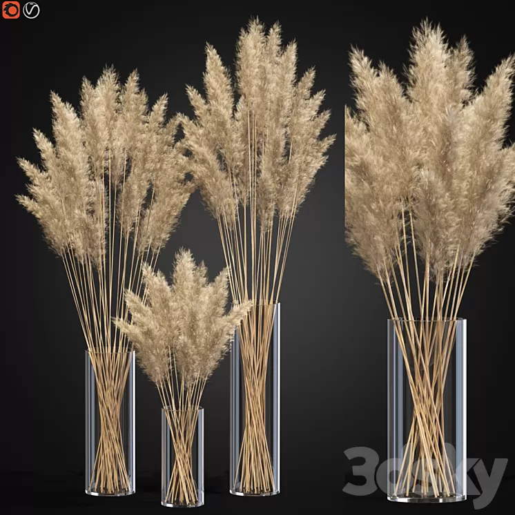Decorative Pampas 3D Model