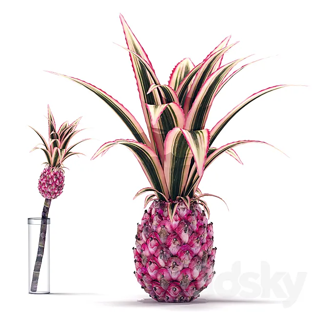 Decorative Pink Pineapple 3DModel