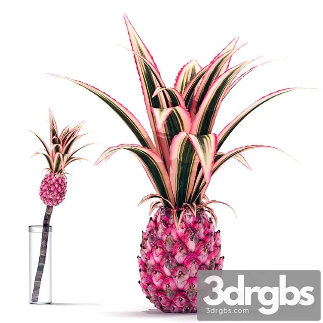Decorative pink pineapple