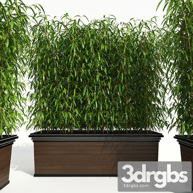 Decorative Plant 2 2 3D Model Free