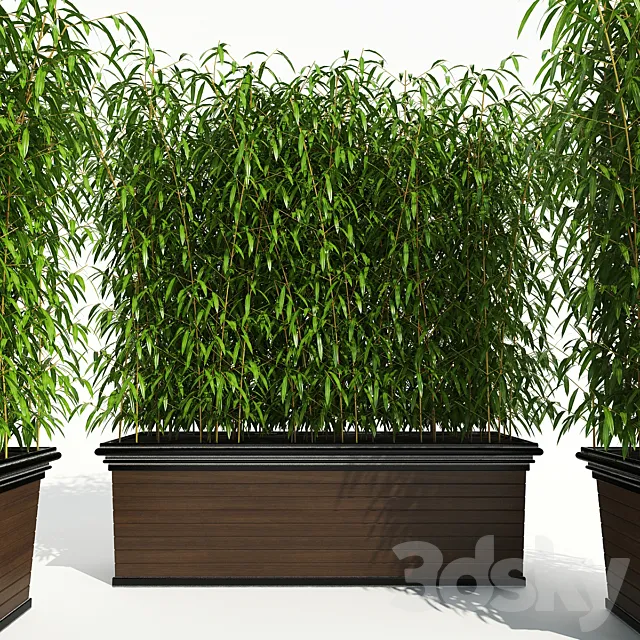 Decorative Plant 2 3D Model