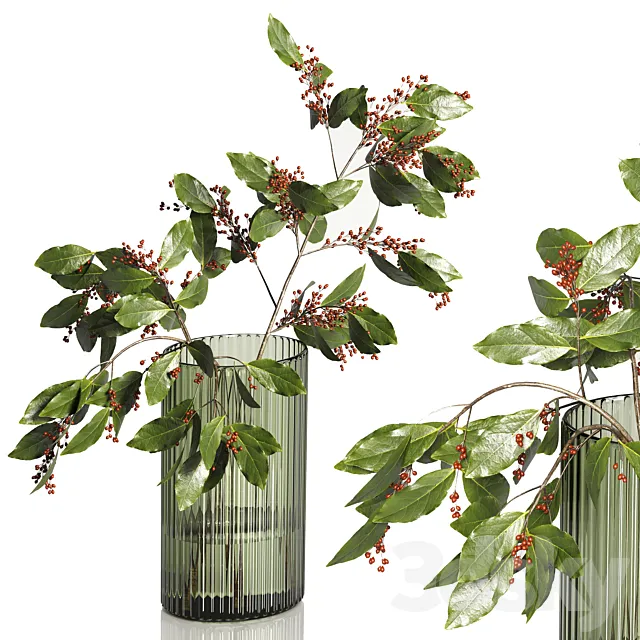 Decorative Plants 02 Free Download