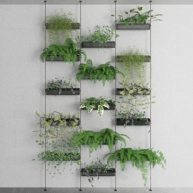 Decorative plants 3DModel