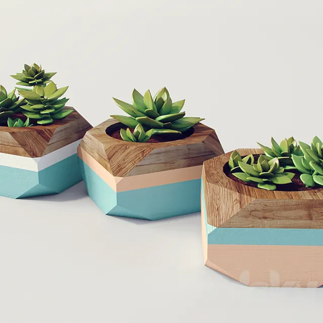 Decorative plants 3DModel