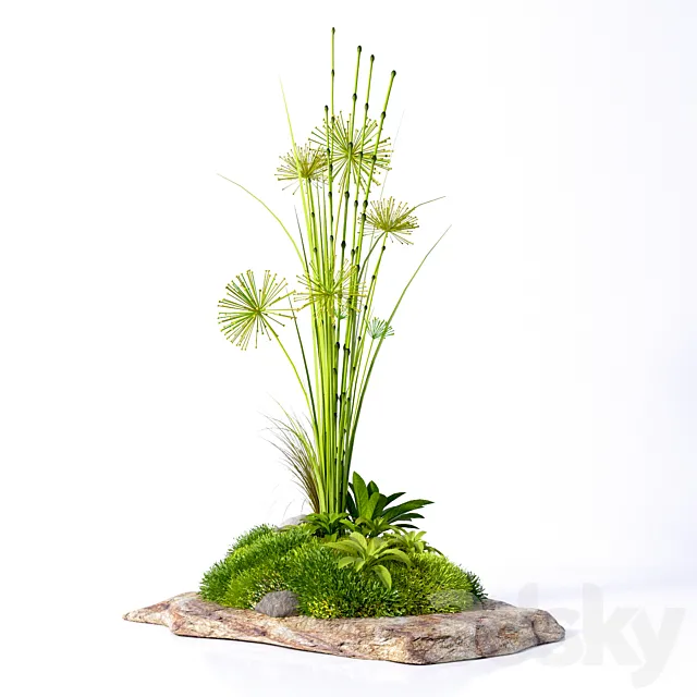 Decorative plants on a stone 3D Model