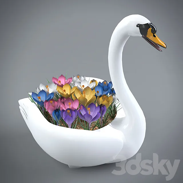 decorative pot of crocuses Free Download