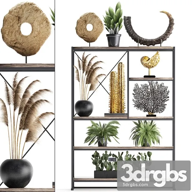 Decorative set 14. decor shelf tusk pampas grass dried flower coral cactus fern rack loft decor 3D Model Free
