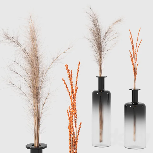Decorative set Free Download