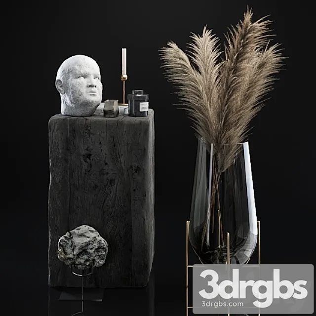 Decorative Set 5 With Dried Plants 3D Model Download