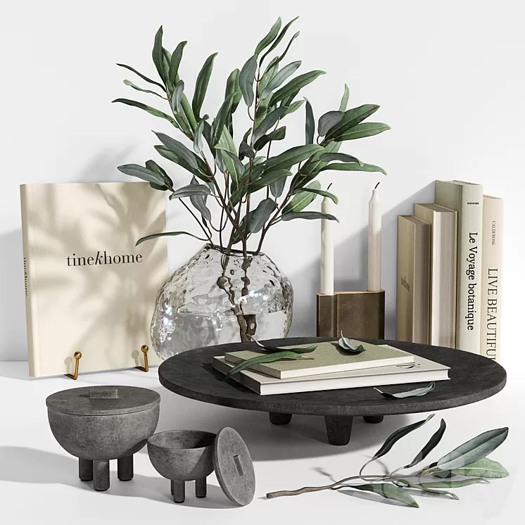 Decorative Set 50 3D Model Free