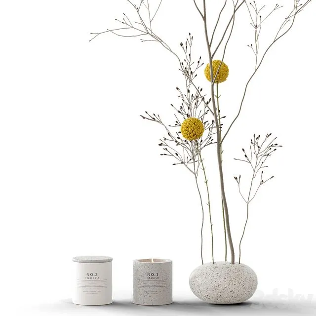 Decorative set 58 branch and candles 3D Model