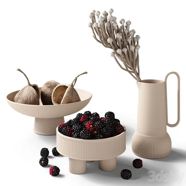 Decorative set 77 Blackberry and brunia 3D Model
