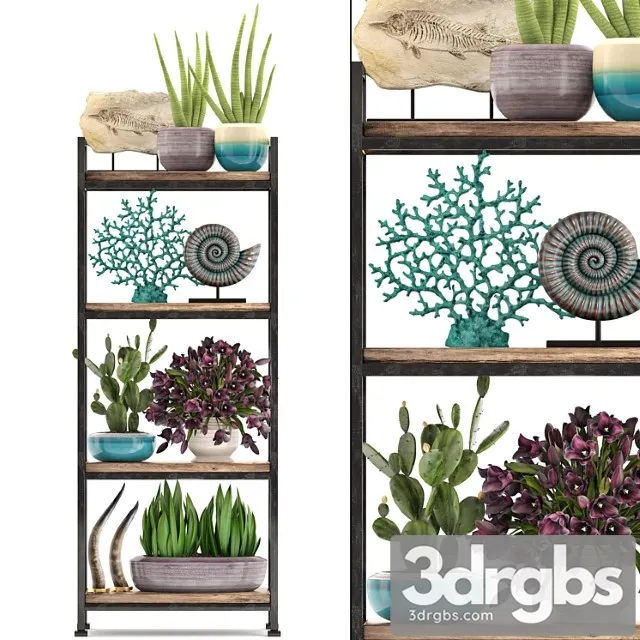 Decorative set. 7th. shelf decor coral tulips shelf with flowers horn 3D Model Free