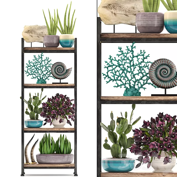 Decorative set. 7th. Shelf decor coral tulips shelf with flowers horn 3D Model