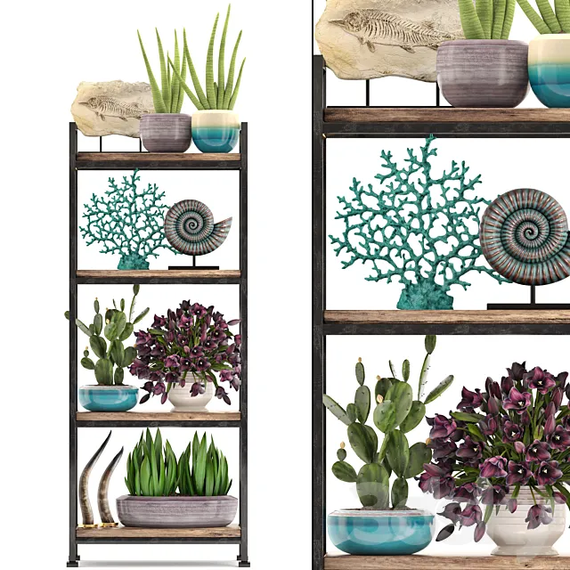 Decorative set. 7th. Shelf. decor. coral. tulips. shelf with flowers. horn 3DModel