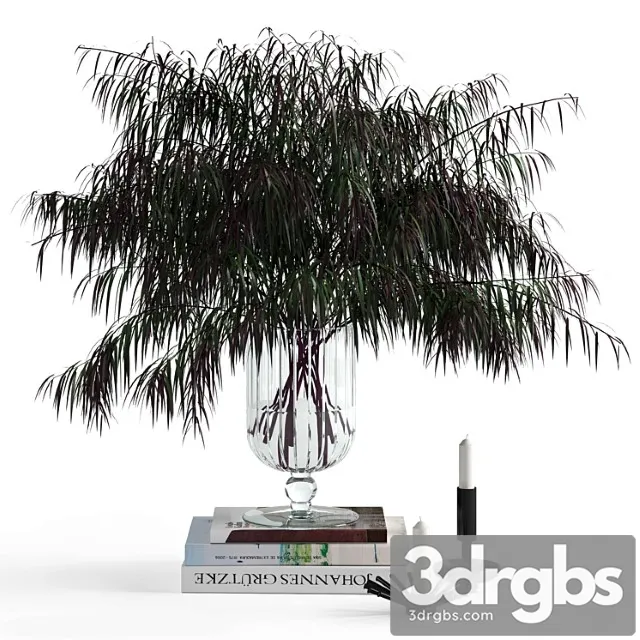 Decorative set Agonis and candles 3D Model Free