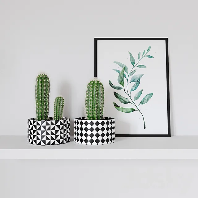 Decorative set - cactus and poster 3DModel