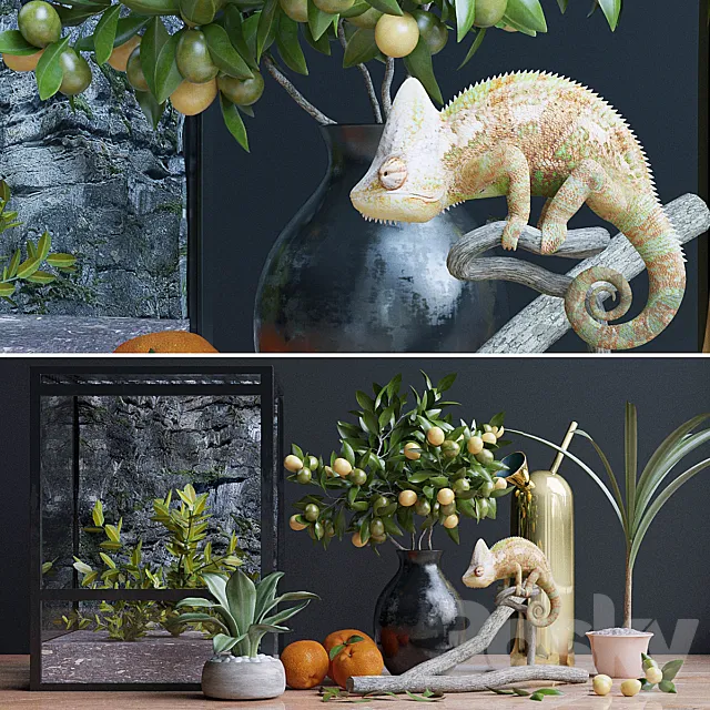 Decorative set. chameleon 3DModel