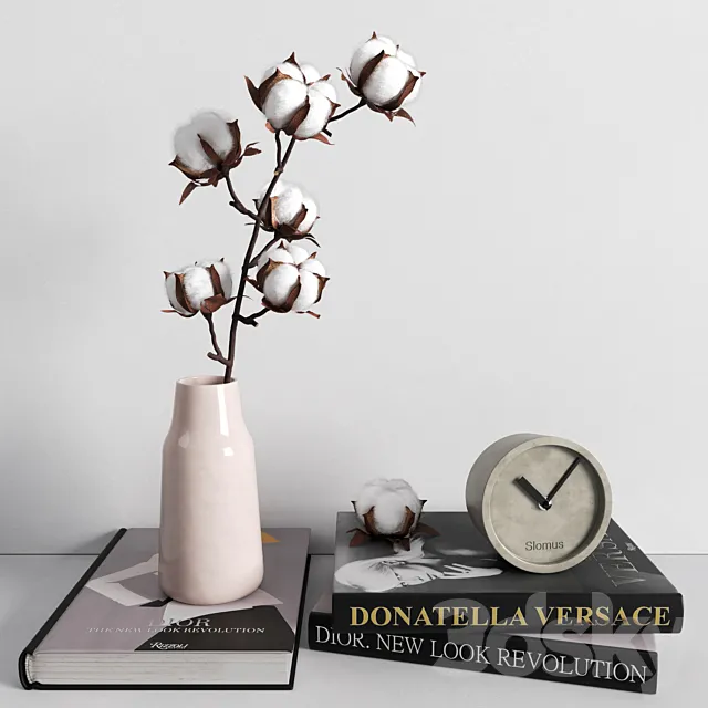 Decorative set cotton branch Free Download