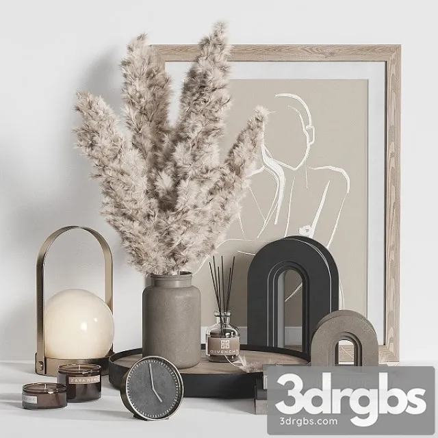 Decorative Set Dried Plant 3D Model Free