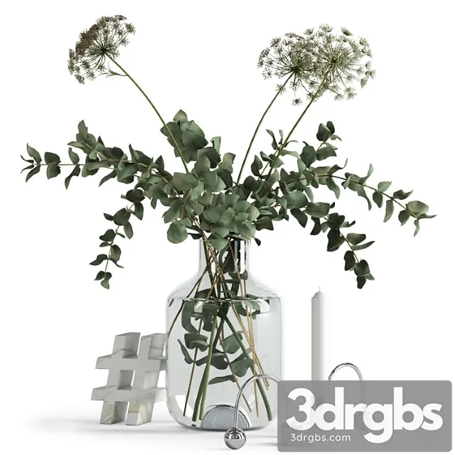 Decorative set Eucalyptus and anna& Free Download