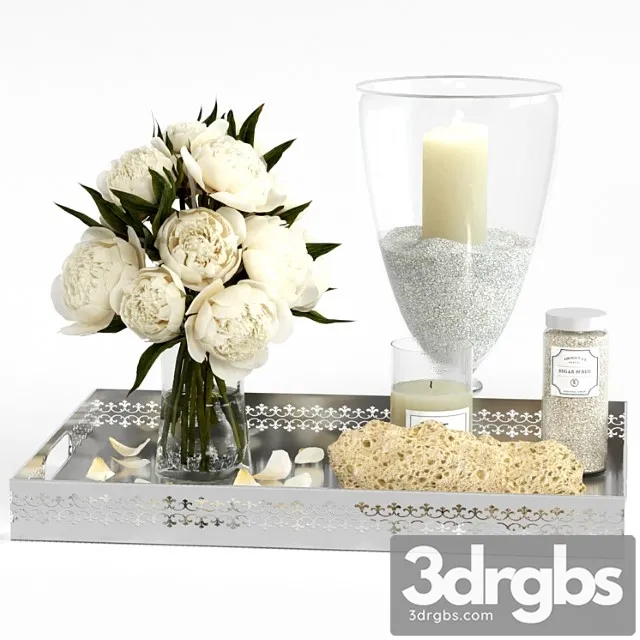 Decorative Set For The Bathroom 2 3D Model Free