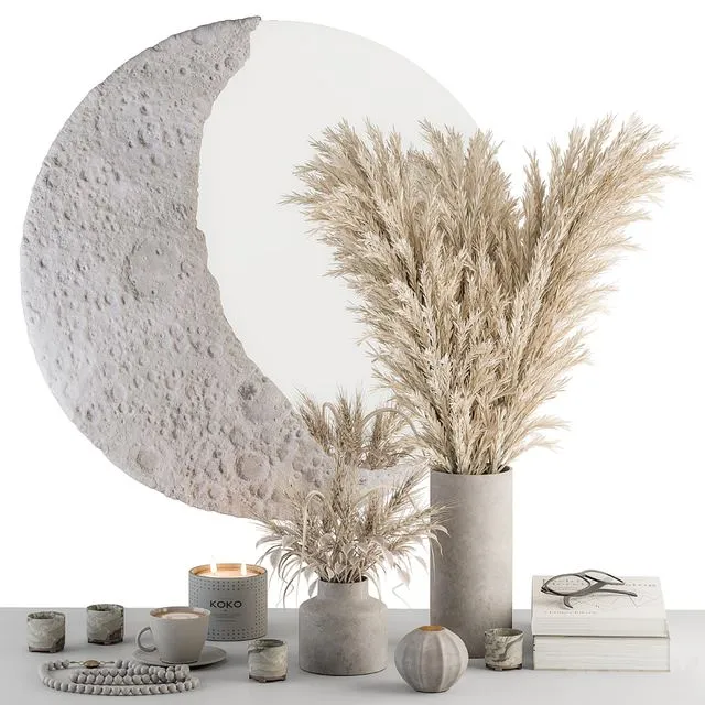 Decorative Set moon mirror with Dried Plant - Set 100 Free Download