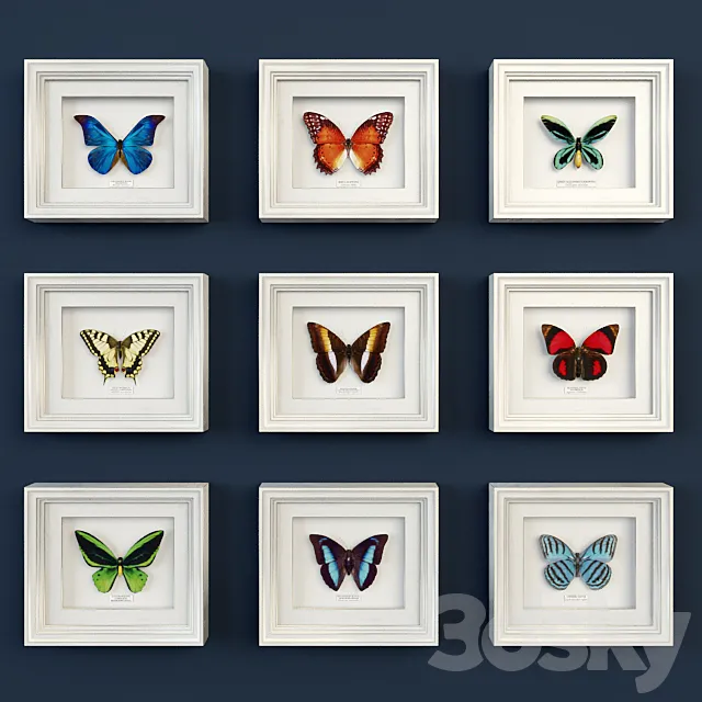 Decorative set of butterflies 3DModel