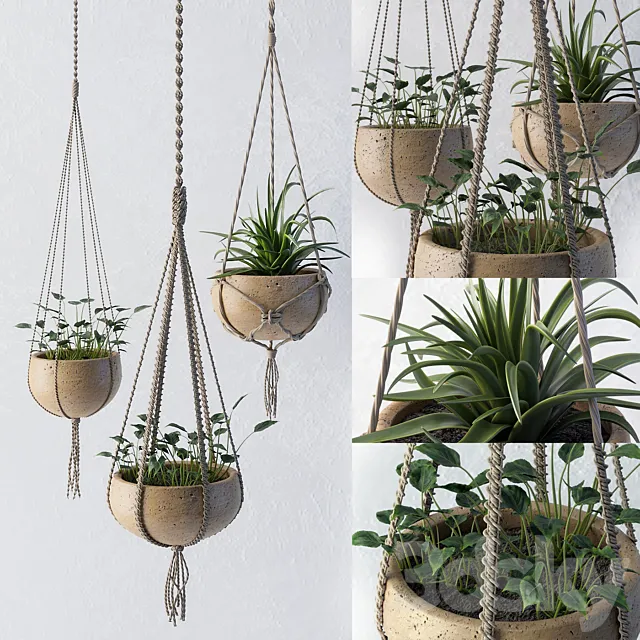 Decorative set of flower pots 3DModel