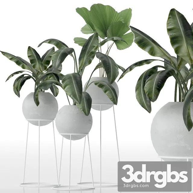 Decorative Set of Plants 3D Model Free