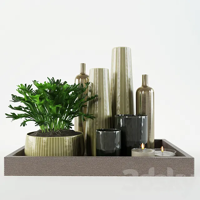 decorative set on a tray Free Download