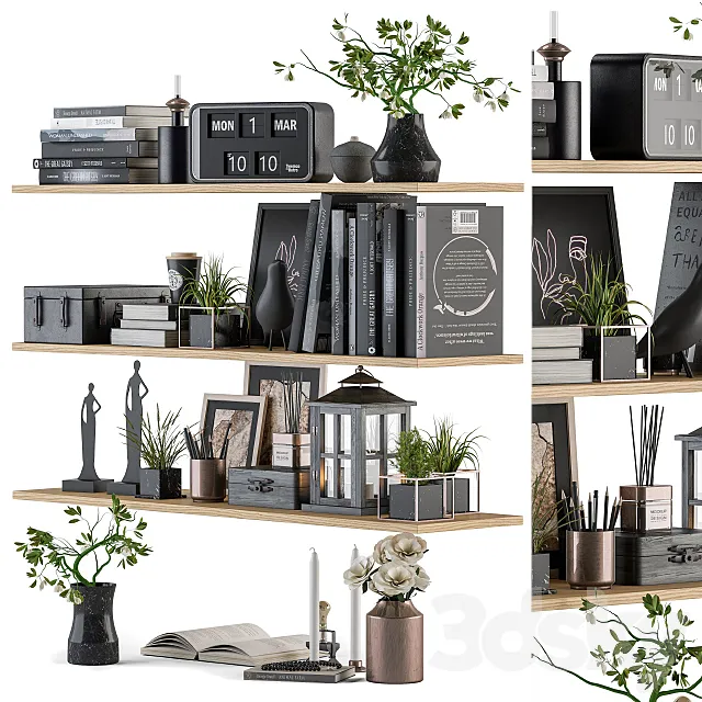 Decorative Set on Shelves 3DModel