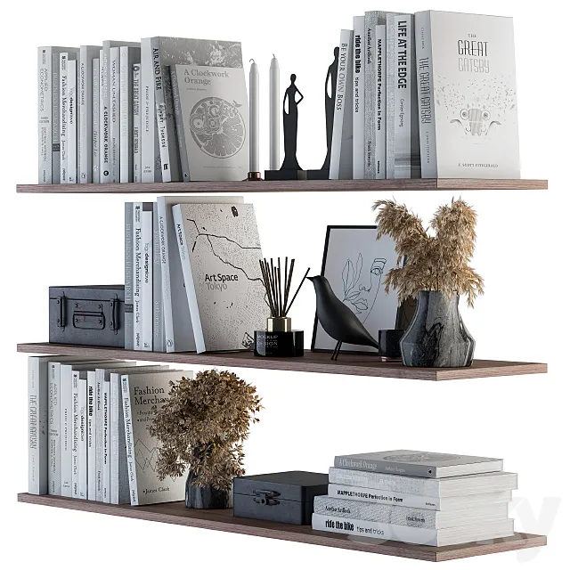 Decorative Set on Shelves White book and Dried Plants Free Download