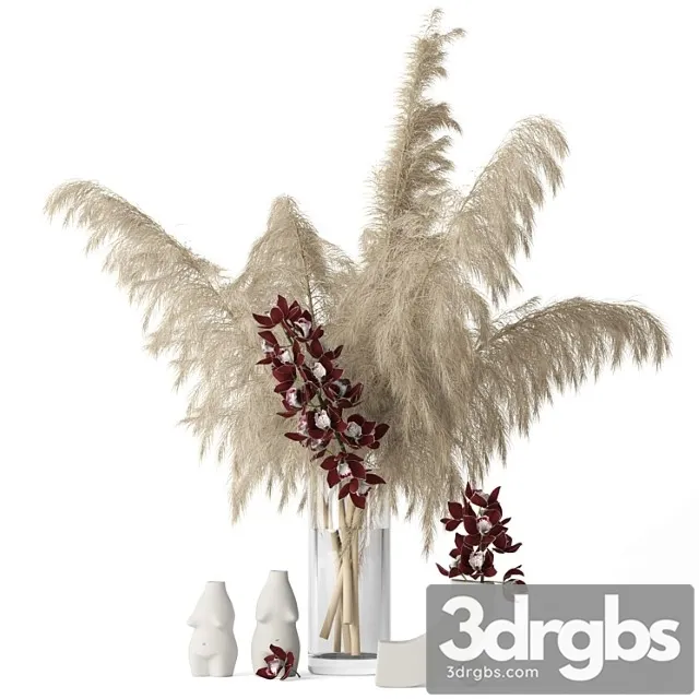 Decorative set Pampas grass and cymbidium 3D Model Download