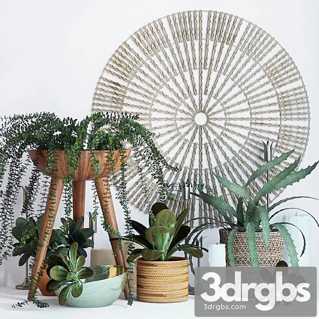 Decorative set Plant decor set - 1 3D Model Free
