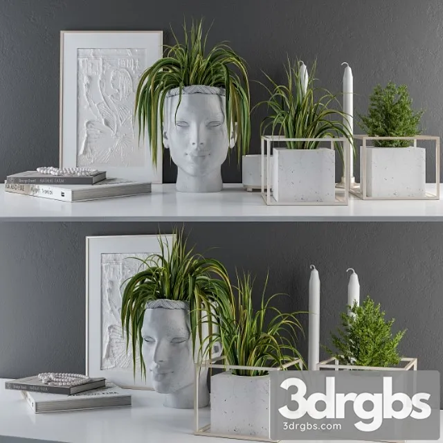 Decorative set sculpt pot and plants 3D Model Free