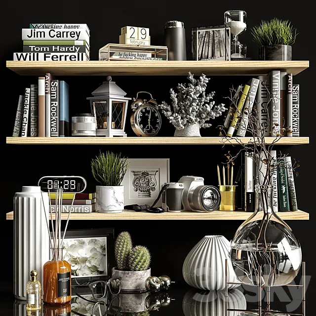 Decorative set shelves 2 3DModel