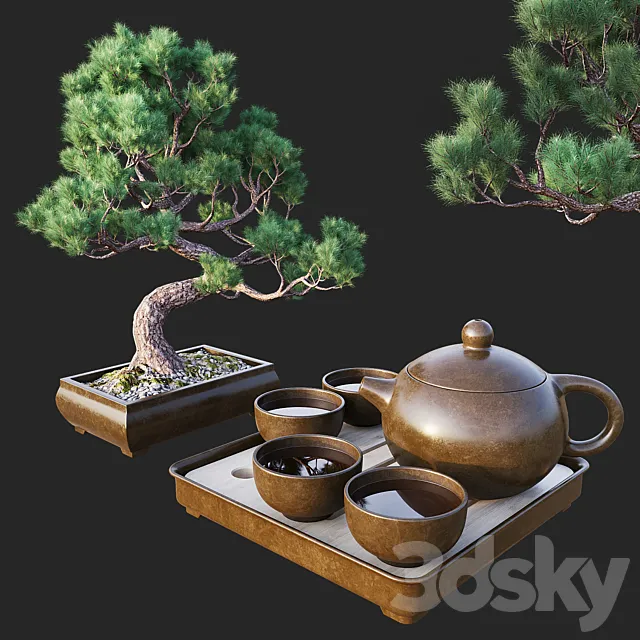 Decorative set with bonsai 3D Model